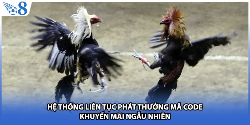 Hệ thống liên tục phát thưởng mã code khuyến mãi ngẫu nhiên