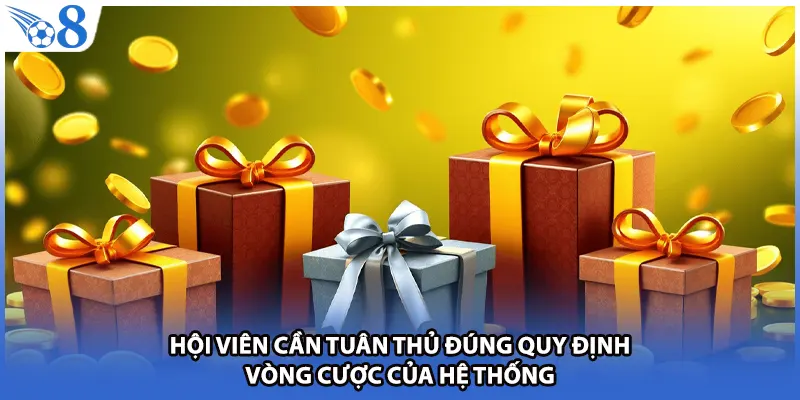 Hội viên cần tuân thủ đúng quy định vòng cược của hệ thống