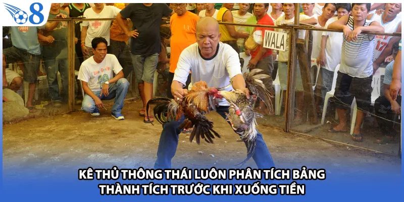 Kê thủ thông thái luôn phân tích bảng thành tích trước khi xuống tiền